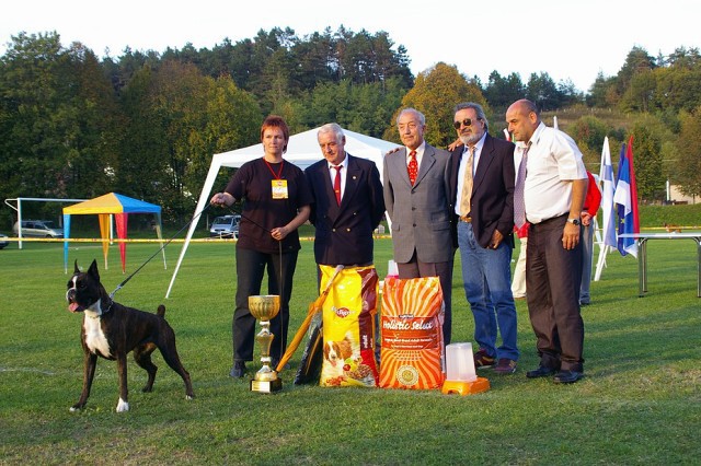 www.boxer-show.eu